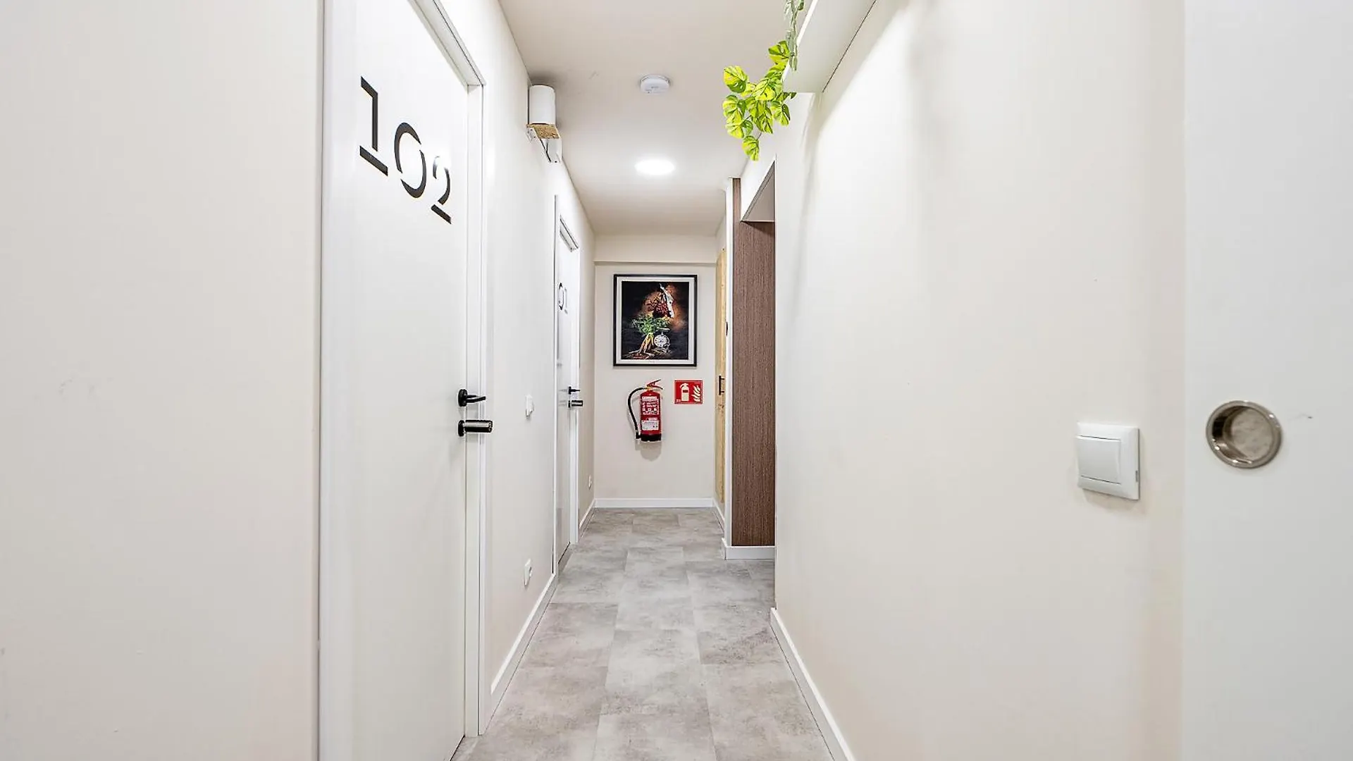 לאס פאלמס דה גראן קנאריה Rooms Canteras Boutique Hostal
